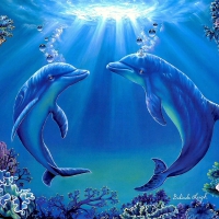 â˜…Dolphins Danceâ˜…