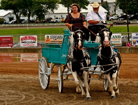 Horse and Carriage - carriage, horse drawn carriage, horseback, Horse and Carriage