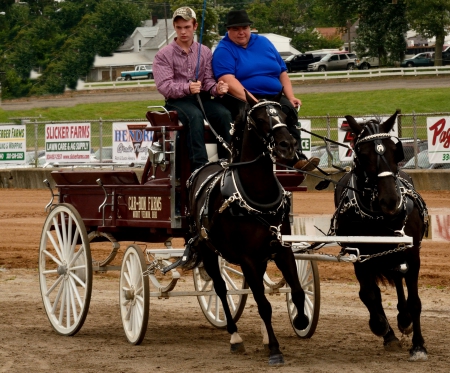 Beautiful Horses - Beautiful Horses, prize horses, riding horses, horseback