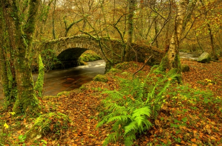 Autumn Bridge - nature, autumn, forest, stone bridge