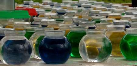 Jars of color - pretty colors, fair prizes, water colors, jars of color, colors, county fair, amusement park