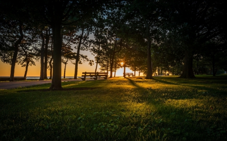 Beautiful View - sky, trees, forest, sun, beautiful, relax