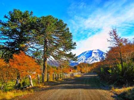 Road To Volcano Lonquimay, Chile - clouds, trees, beautiful, snowy peaks, road, grass, National Reserve, fence, autumn, mountains, sky