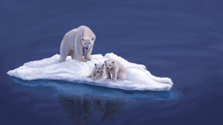 Bears - white, water, bears, art