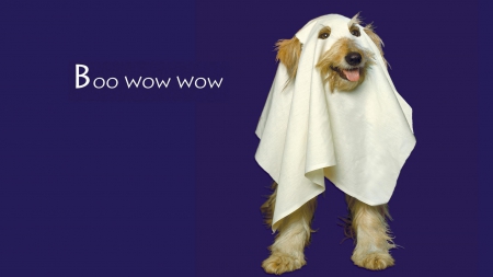 Boo! - costume, puppy, funny, white, halloween, ghost, purple, dog, blue