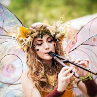 Fairy