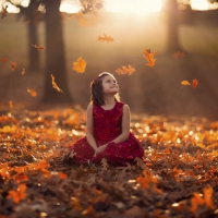* Hello autumn *