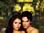 Elena & Damon