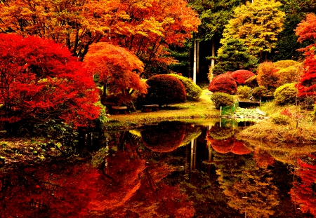 AUTUMN GARDEN - garden, pond, reflection, nature, park, autumn