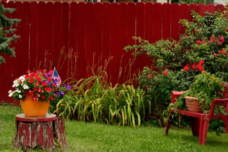 Beautiful Backyard - red roses, roses, flower basket, beautiful backyard, beautiful flowers, backyard