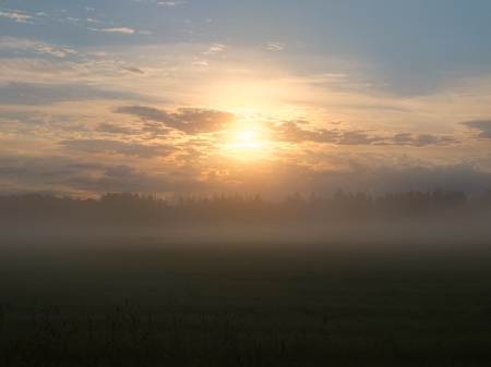 Misty Sunrise - x10, estonia, mist, sunrise, soomaa