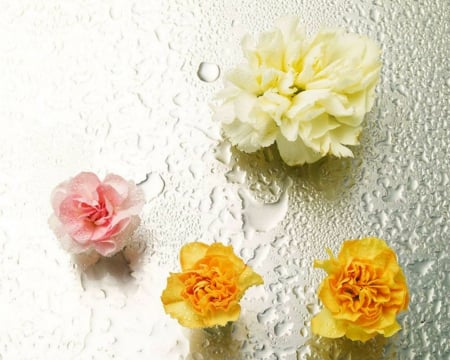 Beautiful Flowers - four, flowers, petals, crystal