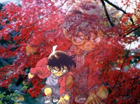 Detective Conan - red, megane, fall, conan edogawa, male, detective conan, autumn