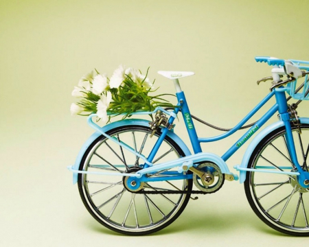 Flower on a Bike - flowers, ride, bike, bloom