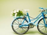 Flower on a Bike