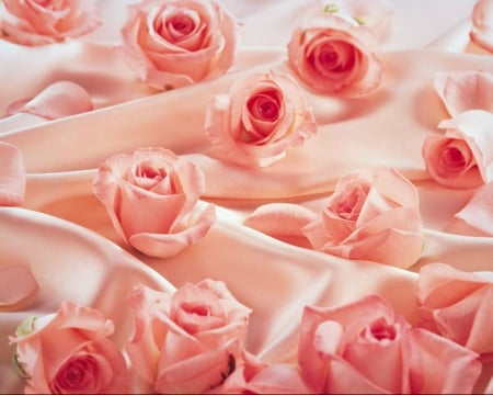 Pink Roses - flowers, silk, roses, pink