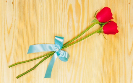 Two Rose - flowers, ribbon, buds, roses