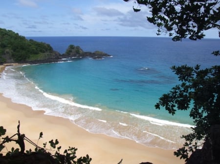 Beautiful Mexican Beach - nature, oceans, beaches, trees, blue