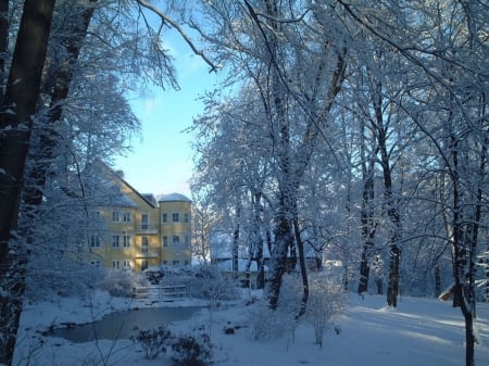 Lovely Winter Park - nature, houses, trees, parks, snow, winter