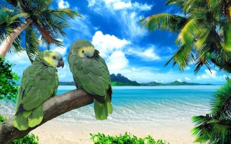 Exotic Beach - parrots, palms, nature, beach, exotic, sea