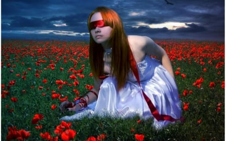 blinded dreams - art, blinded, field, dream, poppies, flower