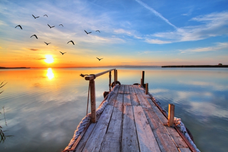 Sunset - lake, sunset, seagull, pier