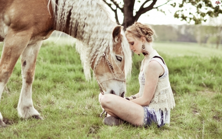 A Special Bond - horse, cowgirl, blonde, tree, grass