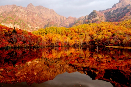 AUTUMN LAKE - nature, lake, autumn, reflection