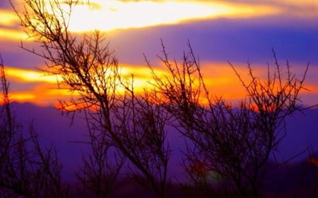 Sedona Sunset - sedona, nature, sky, trees, clouds, sunset