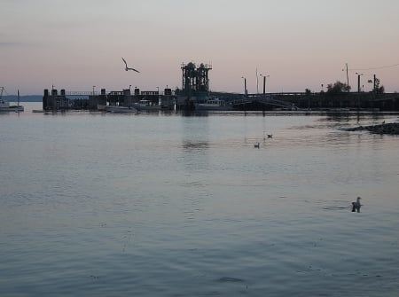 Licolnville Beach, Maine - sunset, water, ocean, seagulls, Sky