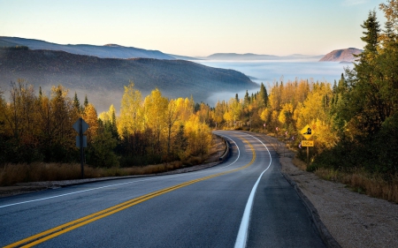 Country Road - lake, autumn, trees, road