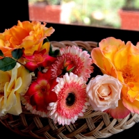 To my friend Adi