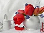 Still Life-red tulip-