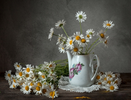 Still life - flowers, still life, amazing, soft