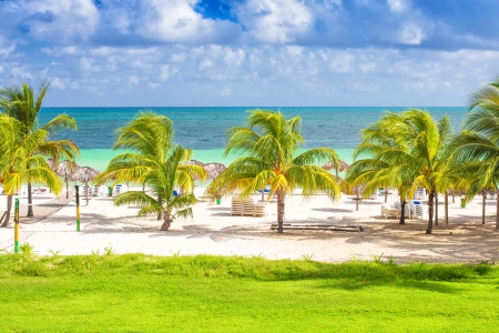 Palm Beach - beach, beautiful, view, green, chairs, sea, palm