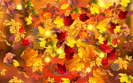 Beautiful Autumn - red, fall, leaves, yellow, brown, woods, nature, colors, viola tricolor, autumn