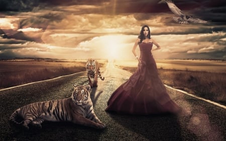 Fantastic adventure - woman, girl, road, fantasy, creative, bird, model, situation, adventure, red, animal, tiger, dress