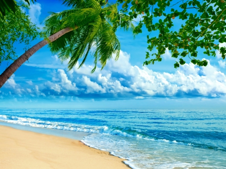 Summer Beach - beach, sky, paradise, mountains, clouds, tree, sand, branches, palm trees, ocean, tropical, summer, palm, waves, beautiful, blue, sea, plam