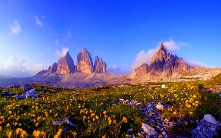 Mountian flowers - sky, landscape, mountain, meadow, peaks, rocks, nature, beautiful, flowers