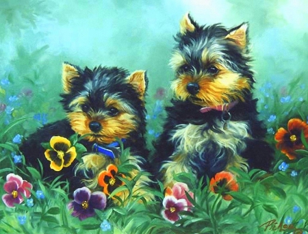 ..Yorkshire Terrier.. - pretty, creative pre-made, weird things people wear, colors, puppies, lovely, Yorkshire Terrier, flowers, dogs, cute, love four seasons, draw and paint, animals