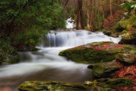 Lebetter Creek - Autumn, nature, waterfall, beautiful