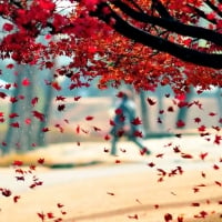 Hello Autumn â™¥