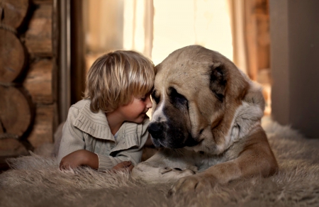 Pure Love - love, animals, pure love, child, dog face, childhood, boy, dog, dogs, cute