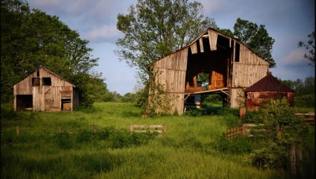 Barns in Kentucky - kentucky, farmland, barns, country