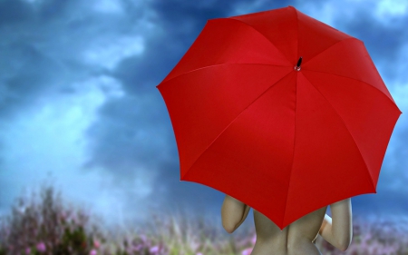 Big Red Umbrella - sky, field, umbrella, red