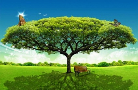 A tree - tree, bench, field, grassland, large