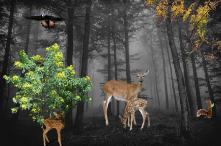 IN THE FORREST - creation, abstract, trees, deers