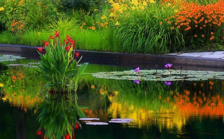 Autumn Colored Pond - flowers, lilies, nature, pond, autumn, reflection