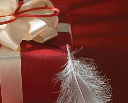 Feather and Gift - feather, ribbon, gift, red