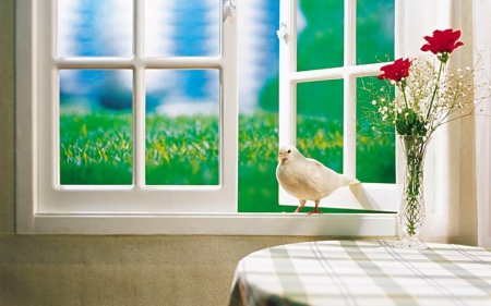 Great Day - bird, flowers, table, window